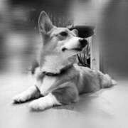 ヒメ日記 2025/03/08 20:48 投稿 つばさ 小田原人妻城