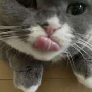 ヒメ日記 2024/12/18 15:36 投稿 一富士あゆり セレブショップ新宿（東京ハレ系）