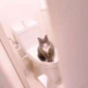 ヒメ日記 2024/12/23 08:58 投稿 一富士あゆり セレブショップ新宿（東京ハレ系）