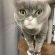 ヒメ日記 2025/03/08 21:12 投稿 一富士あゆり セレブショップ新宿（東京ハレ系）