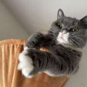 ヒメ日記 2025/10/31 08:00 投稿 一富士あゆり セレブショップ新宿（東京ハレ系）