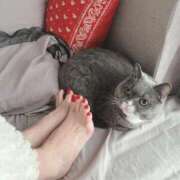 ヒメ日記 2025/12/26 09:05 投稿 一富士あゆり セレブショップ新宿（東京ハレ系）