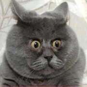 ヒメ日記 2026/02/08 17:17 投稿 一富士あゆり セレブショップ新宿（東京ハレ系）