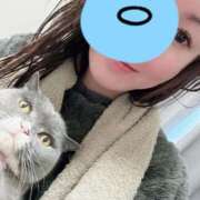 一富士あゆり 出口戦略、なし！……🗾 (;Д;)ｷﾞｬｰ! セレブショップ新宿（東京ハレ系）