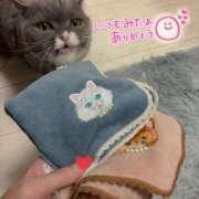 ヒメ日記 2026/03/19 19:04 投稿 一富士あゆり セレブショップ新宿（東京ハレ系）