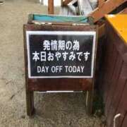 ヒメ日記 2025/01/05 12:30 投稿 あいみ 大高・大府市・東海市ちゃんこ
