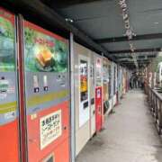 ヒメ日記 2025/01/22 05:53 投稿 あいみ 大高・大府市・東海市ちゃんこ