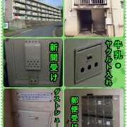 ヒメ日記 2025/01/22 06:13 投稿 あいみ 大高・大府市・東海市ちゃんこ