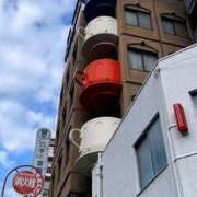 ヒメ日記 2025/01/26 08:55 投稿 あいみ 大高・大府市・東海市ちゃんこ