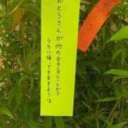 ヒメ日記 2025/02/11 22:13 投稿 あいみ 大高・大府市・東海市ちゃんこ