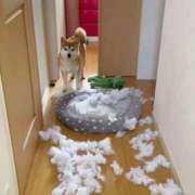 ヒメ日記 2025/02/20 07:23 投稿 あいみ 大高・大府市・東海市ちゃんこ