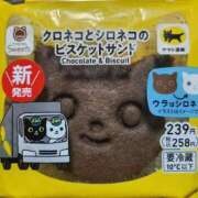 ヒメ日記 2025/02/21 00:10 投稿 あいみ 大高・大府市・東海市ちゃんこ