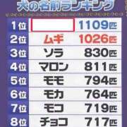 ヒメ日記 2025/02/25 08:55 投稿 あいみ 大高・大府市・東海市ちゃんこ