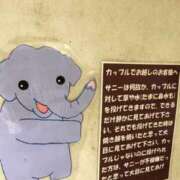 ヒメ日記 2025/03/14 12:43 投稿 あいみ 大高・大府市・東海市ちゃんこ