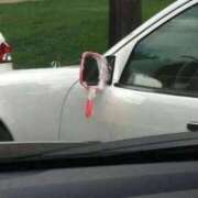 ヒメ日記 2025/03/15 16:43 投稿 あいみ 大高・大府市・東海市ちゃんこ