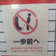 ヒメ日記 2025/03/15 17:03 投稿 あいみ 大高・大府市・東海市ちゃんこ