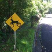 ヒメ日記 2025/03/18 09:56 投稿 あいみ 大高・大府市・東海市ちゃんこ