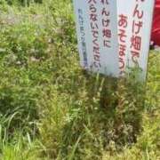 ヒメ日記 2025/03/26 09:33 投稿 あいみ 大高・大府市・東海市ちゃんこ