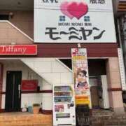 ヒメ日記 2025/03/26 09:38 投稿 あいみ 大高・大府市・東海市ちゃんこ