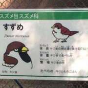ヒメ日記 2025/03/29 15:55 投稿 あいみ 大高・大府市・東海市ちゃんこ