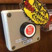 ヒメ日記 2025/04/04 05:36 投稿 あいみ 大高・大府市・東海市ちゃんこ