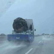 ヒメ日記 2025/04/04 05:44 投稿 あいみ 大高・大府市・東海市ちゃんこ