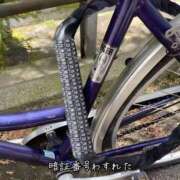 ヒメ日記 2025/04/11 12:05 投稿 あいみ 大高・大府市・東海市ちゃんこ