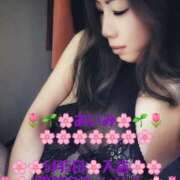 ヒメ日記 2025/04/27 07:13 投稿 あいみ 大高・大府市・東海市ちゃんこ