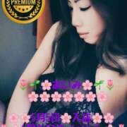 ヒメ日記 2025/04/30 16:33 投稿 あいみ 大高・大府市・東海市ちゃんこ