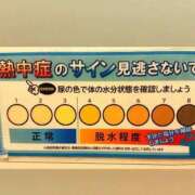ヒメ日記 2025/08/26 10:23 投稿 あいみ 大高・大府市・東海市ちゃんこ
