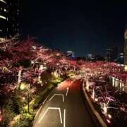 ヒメ日記 2025/04/10 14:00 投稿 えり 渋谷じゃっくす