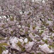 ヒメ日記 2025/04/21 21:21 投稿 えり 渋谷じゃっくす