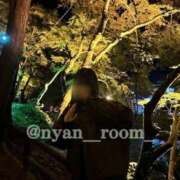 ヒメ日記 2024/12/17 22:28 投稿 みらん ワンダフル