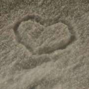 ヒメ日記 2025/02/25 02:28 投稿 みらん ワンダフル