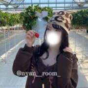 ヒメ日記 2025/04/08 19:18 投稿 みらん ワンダフル