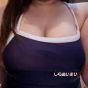 ヒメ日記 2024/12/25 12:09 投稿 不知火 BBW（ビッグビューティフルウーマン）