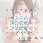 ヒメ日記 2025/10/31 12:49 投稿 不知火 BBW（ビッグビューティフルウーマン）