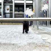 ヒメ日記 2025/06/02 18:27 投稿 たま THE ESUTE 渋谷