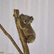 ヒメ日記 2025/07/17 18:57 投稿 たま THE ESUTE 渋谷