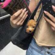 ヒメ日記 2025/08/27 23:10 投稿 あおい Venti大阪