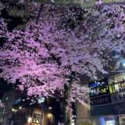 神城まいか ※無題 美魔女エステ