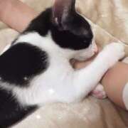 ヒメ日記 2025/02/16 17:10 投稿 える★超絶スレンダーS級美女 BEPPIN SELECTION ～べっぴんセレクション～