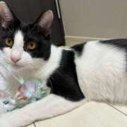 ヒメ日記 2025/03/10 04:39 投稿 える★超絶スレンダーS級美女 BEPPIN SELECTION ～べっぴんセレクション～