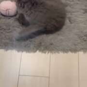 ヒメ日記 2025/03/11 04:35 投稿 える★超絶スレンダーS級美女 BEPPIN SELECTION ～べっぴんセレクション～