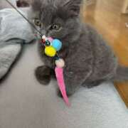 ヒメ日記 2025/03/12 16:24 投稿 える★超絶スレンダーS級美女 BEPPIN SELECTION ～べっぴんセレクション～