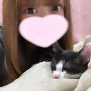 ヒメ日記 2025/03/20 20:49 投稿 える★超絶スレンダーS級美女 BEPPIN SELECTION ～べっぴんセレクション～