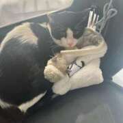 ヒメ日記 2025/03/28 20:23 投稿 える★超絶スレンダーS級美女 BEPPIN SELECTION ～べっぴんセレクション～