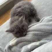 ヒメ日記 2025/03/30 08:36 投稿 える★超絶スレンダーS級美女 BEPPIN SELECTION ～べっぴんセレクション～