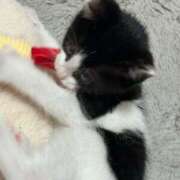 ヒメ日記 2025/04/05 06:50 投稿 える★超絶スレンダーS級美女 BEPPIN SELECTION ～べっぴんセレクション～