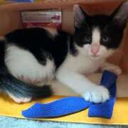 ヒメ日記 2025/04/06 06:06 投稿 える★超絶スレンダーS級美女 BEPPIN SELECTION ～べっぴんセレクション～